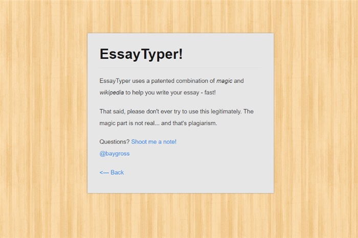 essaytyper.com review